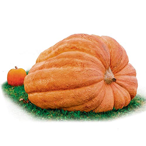 Dill's Atlantic Giant
