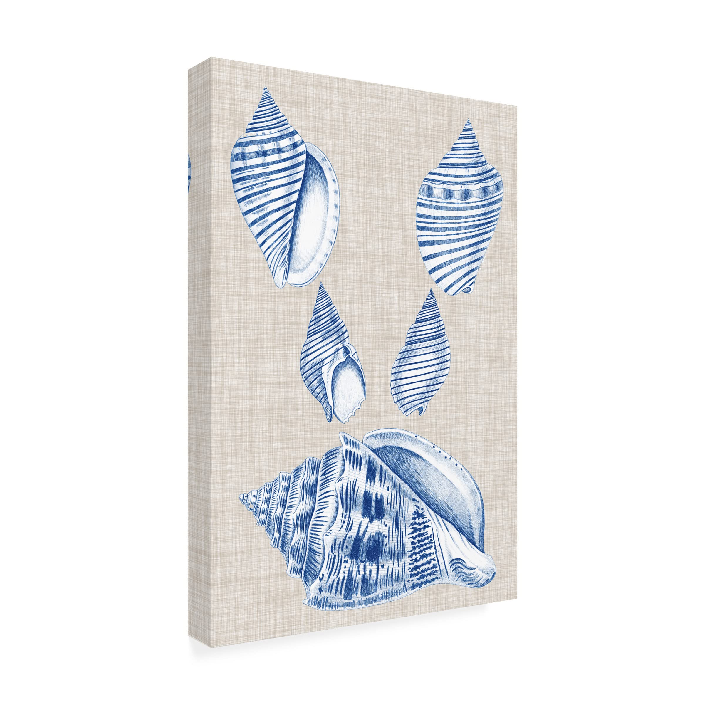 Trademark Fine Art 'Navy And Linen Shells III' Canvas Wall Art Print by Vision Studio - Coastal Beach Home Decor for Living Room, Bedroom & Office