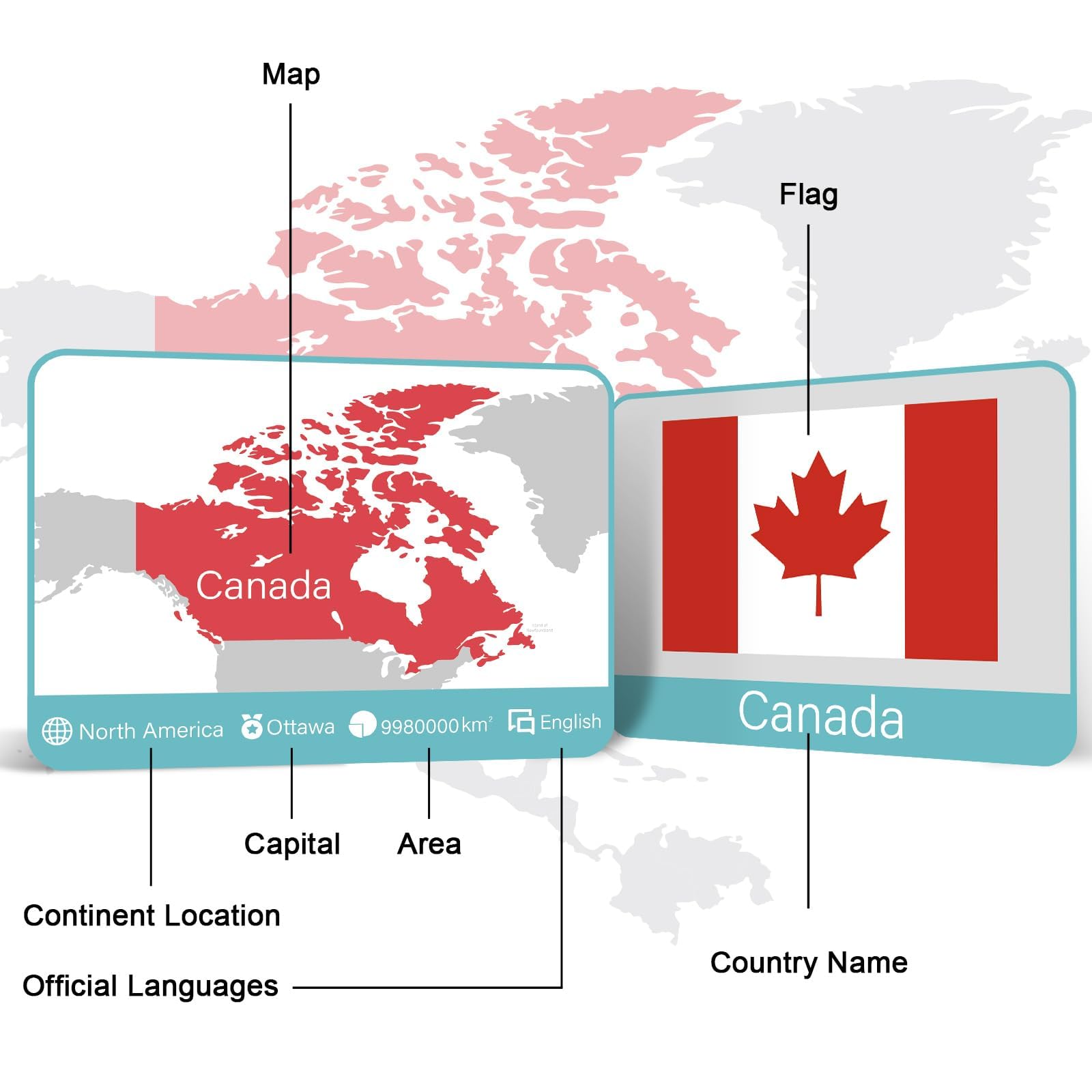 244PCS World Flags Flash Cards - Educational Geography Game with Country, Continent, Capitals & Population Info - Perfect Gift for Kids, Family & Adults - Great for Classroom Learning, Travel Preparation & Cultural Education