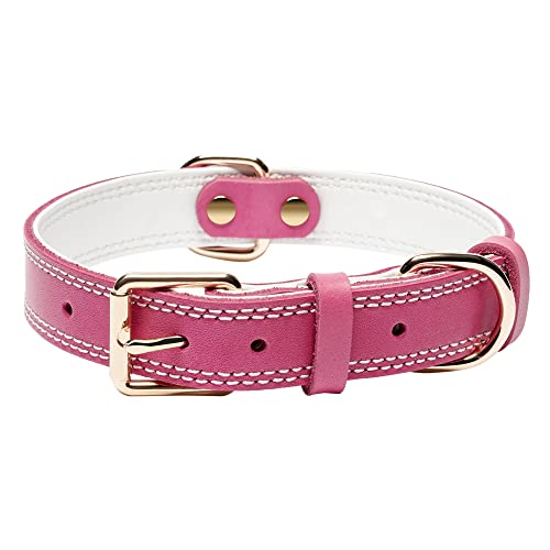 Dual Stitch - Pink