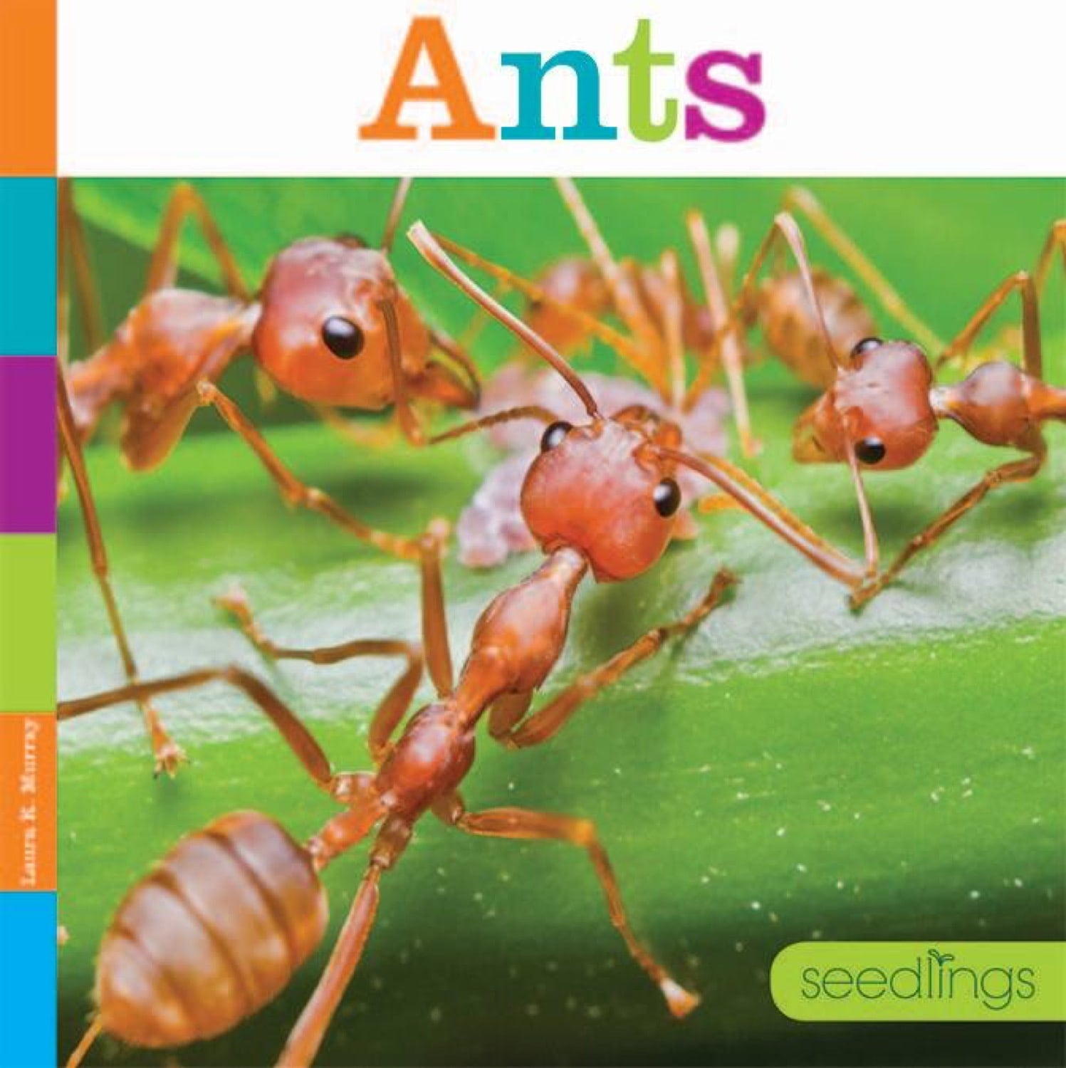 Ants: A Comprehensive Guide to Species and Behavior - 9781608185795 | Perfect for Entomology Students & Nature Enthusiasts