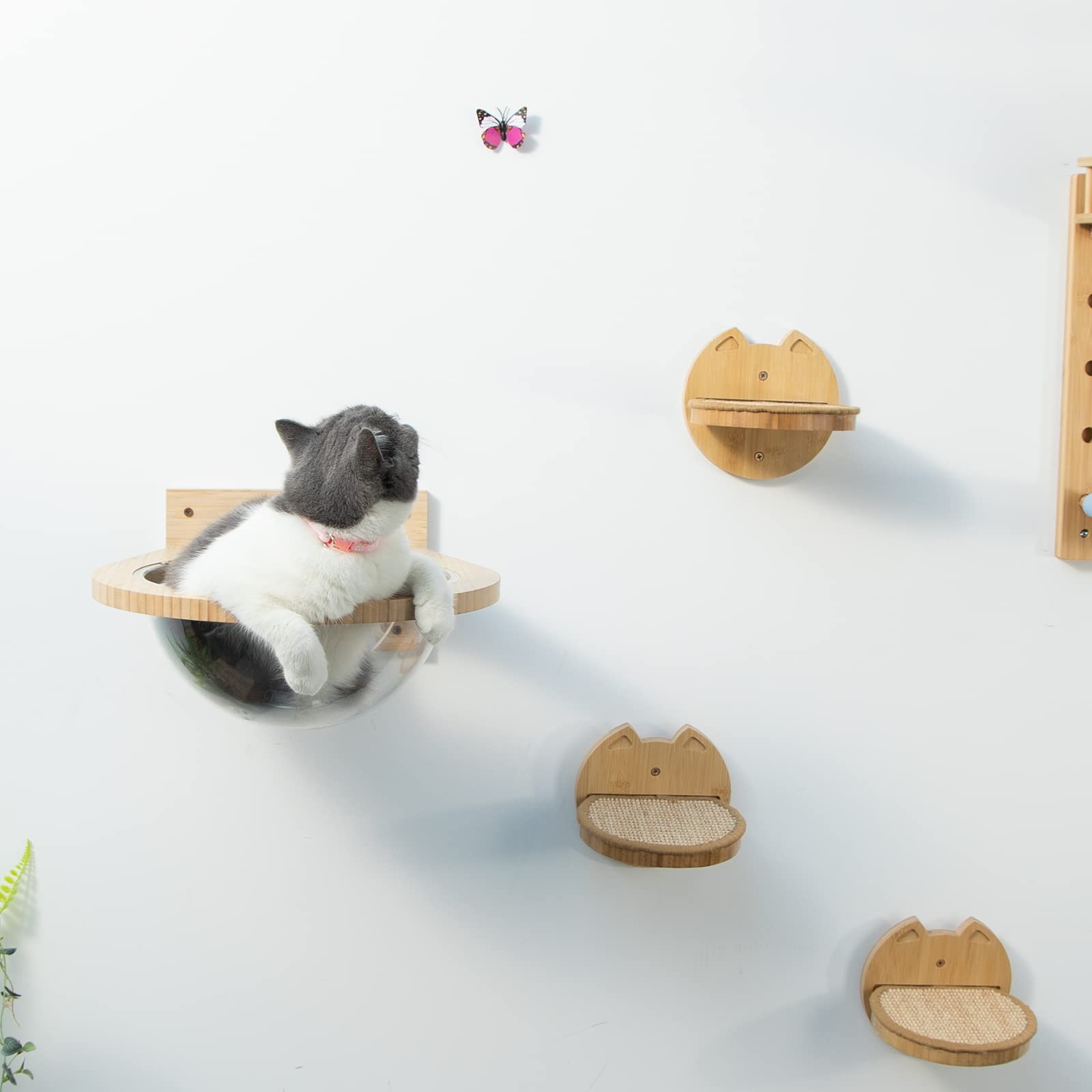 Yangbaga Wall Mounted Bamboo Cat Hammock - Durable Transparent Cat Bed & Furniture for Kittens & Adult Cats - Cat Wall Shelves for Sleeping & Resting (Cat Capsule) - Perfect for Small Spaces & Cat Lounging Areas