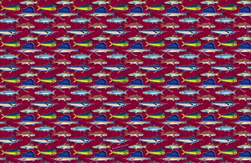 Saltwater Collage