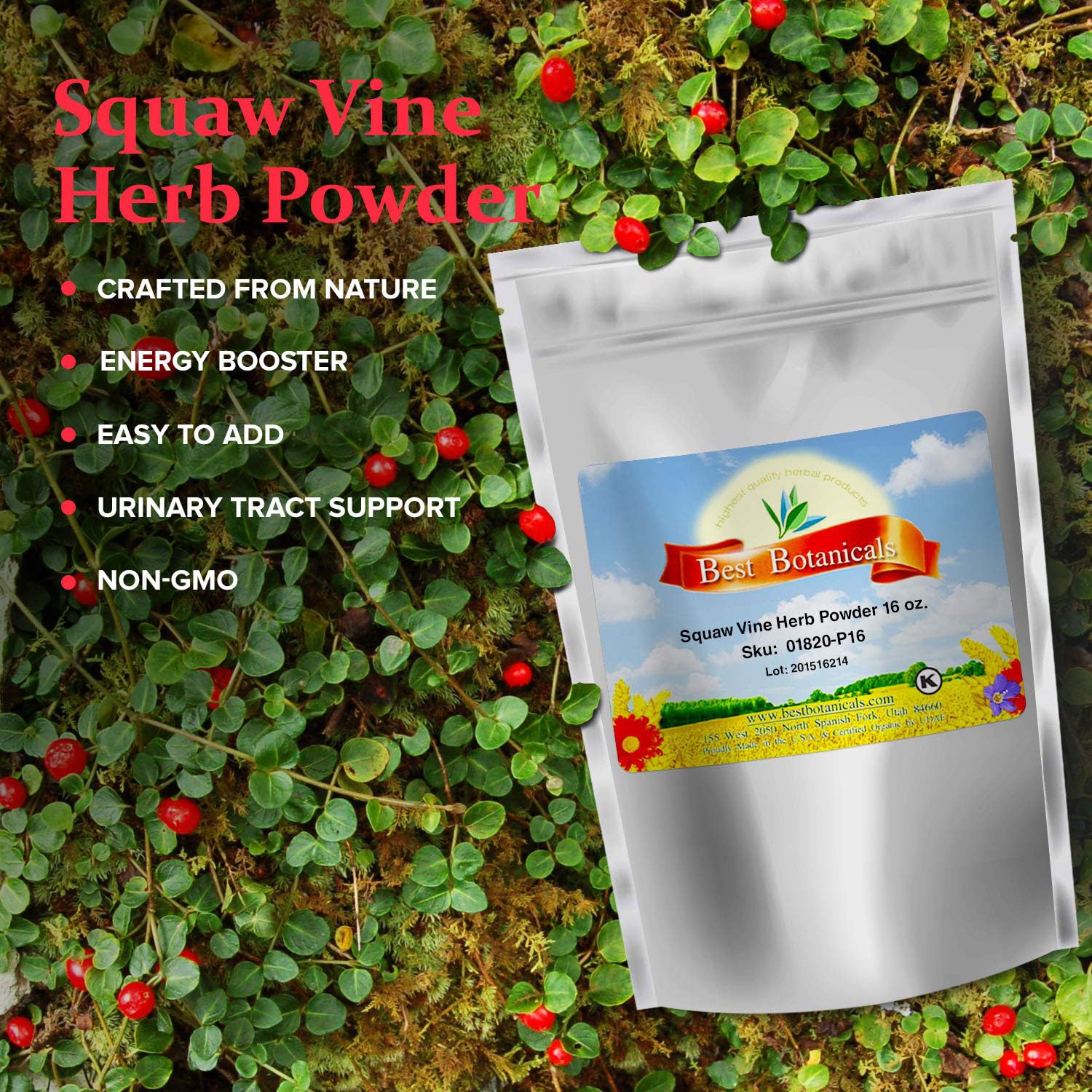 Best Organic Squaw Vine Herb Powder - 16 oz | Premium Quality, Non-GMO & Gluten-Free | Supports Women's Health & Wellness | Perfect for Herbal Teas, Tinctures & Natural Remedies
