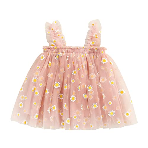 Pink Daisy