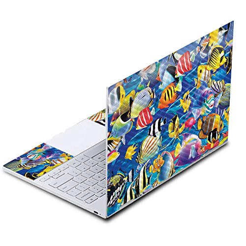 Tropical Fish