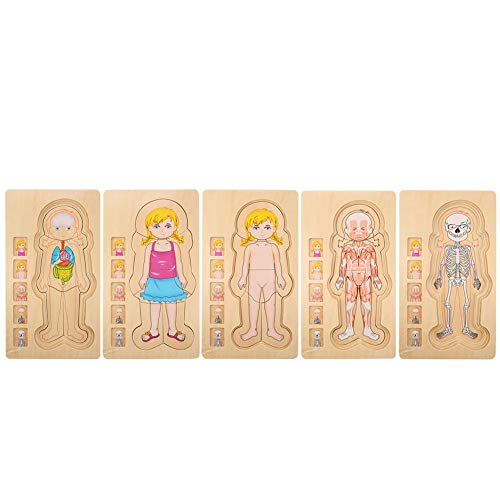 **Premium Wooden Stacking Blocks for Kids - Multilayer Building Brick Toy Set, Durable & Safe for Boys & Girls - Perfect for Preschool Learning, Creative Play & Family Game Night**