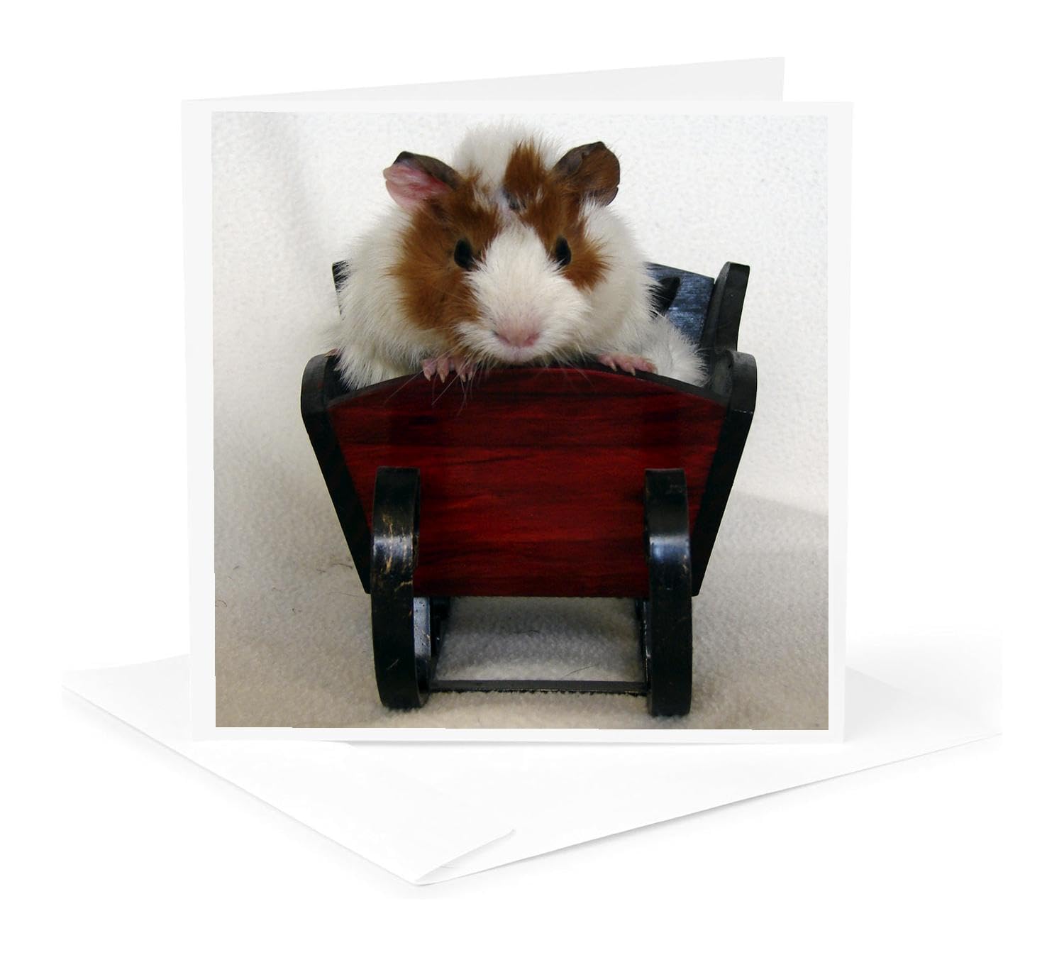 Cute Baby Guinea Pig in Sleigh Christmas Greeting Card - Animal Photography by Angelandspot - Perfect for Holiday Wishes, Birthday Cards & Pet Lover Gifts