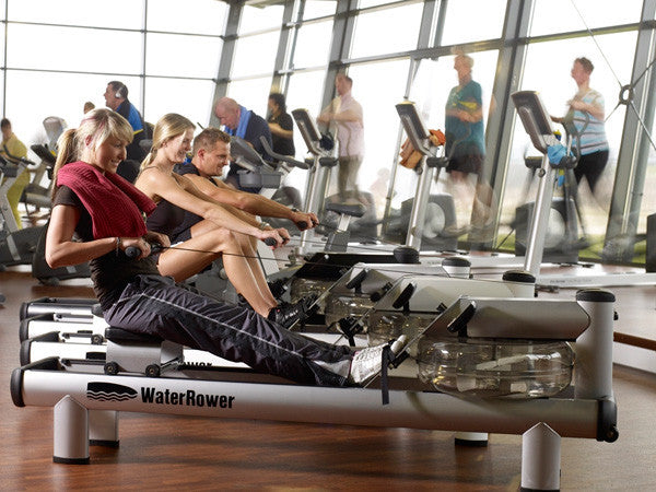 WaterRower M1 LoRise Rowing Machine - Premium Home Fitness Equipment for Full Body Workout | Perfect for Small Spaces, Cardio Training & Low-Impact Exercise