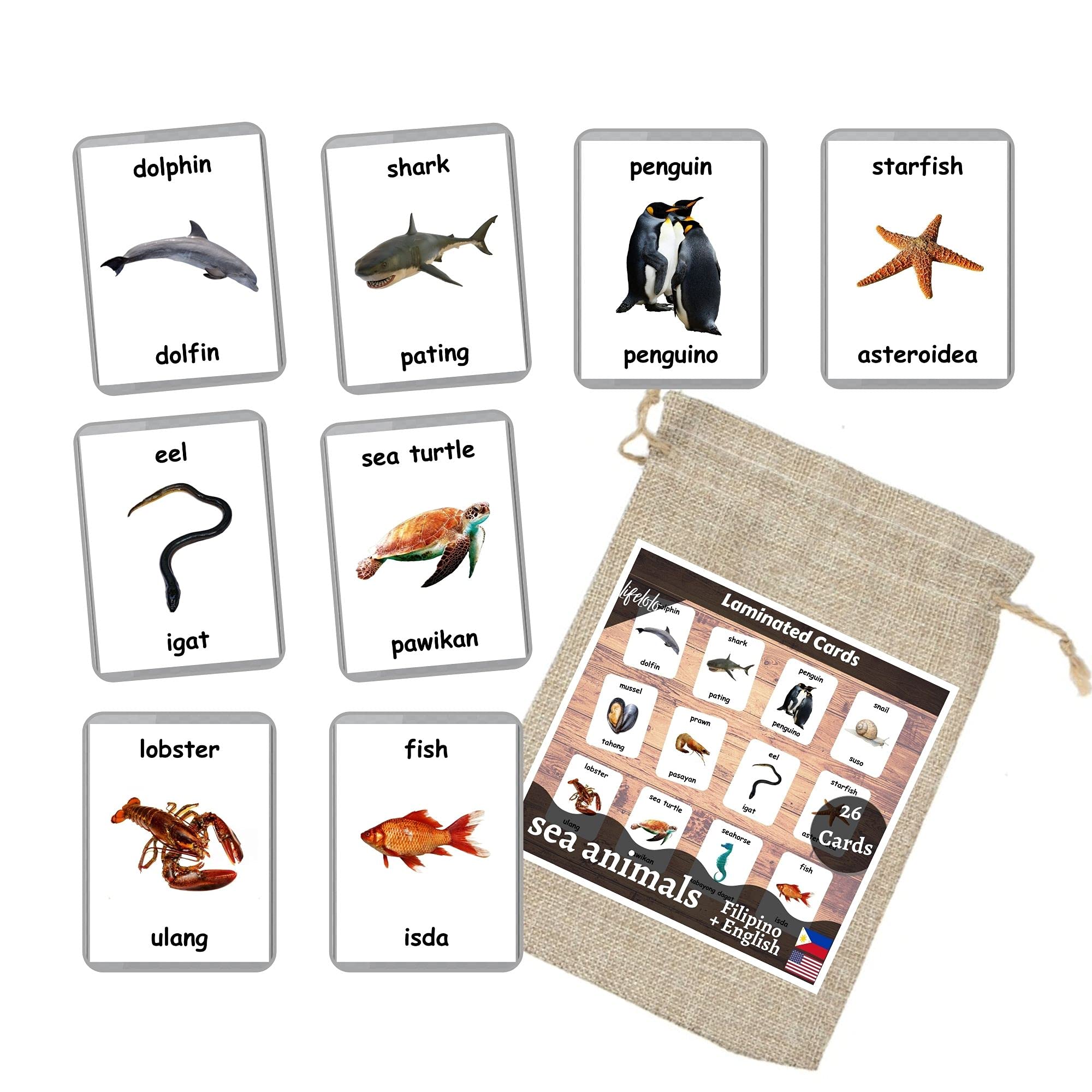 Sea Animals Flash Cards - 26 Laminated Ocean & Water Animal Flashcards for Homeschooling | Bilingual English & Filipino Educational Cards | Perfect for Preschool Learning & Marine Life Education