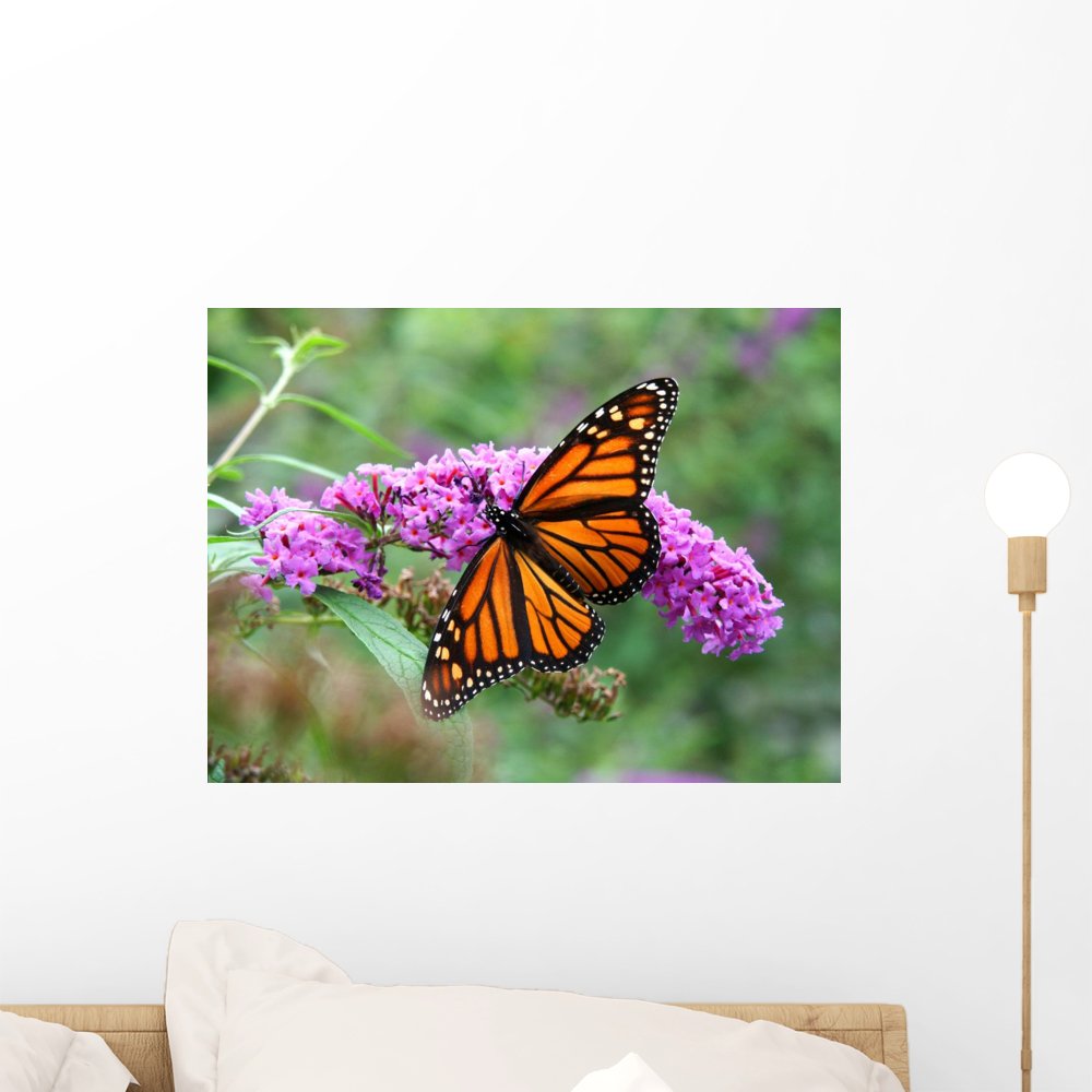 Wallmonkeys Monarch Butterfly Peel and Stick Wall Decal - 18x14 Inches - Removable Vinyl Wall Art for Home, Nursery, Office & Dorm Decor