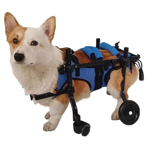 Adjustable 4-Wheel Aluminum Dog Wheelchair for Small & Large Dogs - Front/Rear Leg Support - Pet Mobility Aid for Disabled & Injured Pets (Ideal for Post-Surgery Recovery & Daily Exercise)