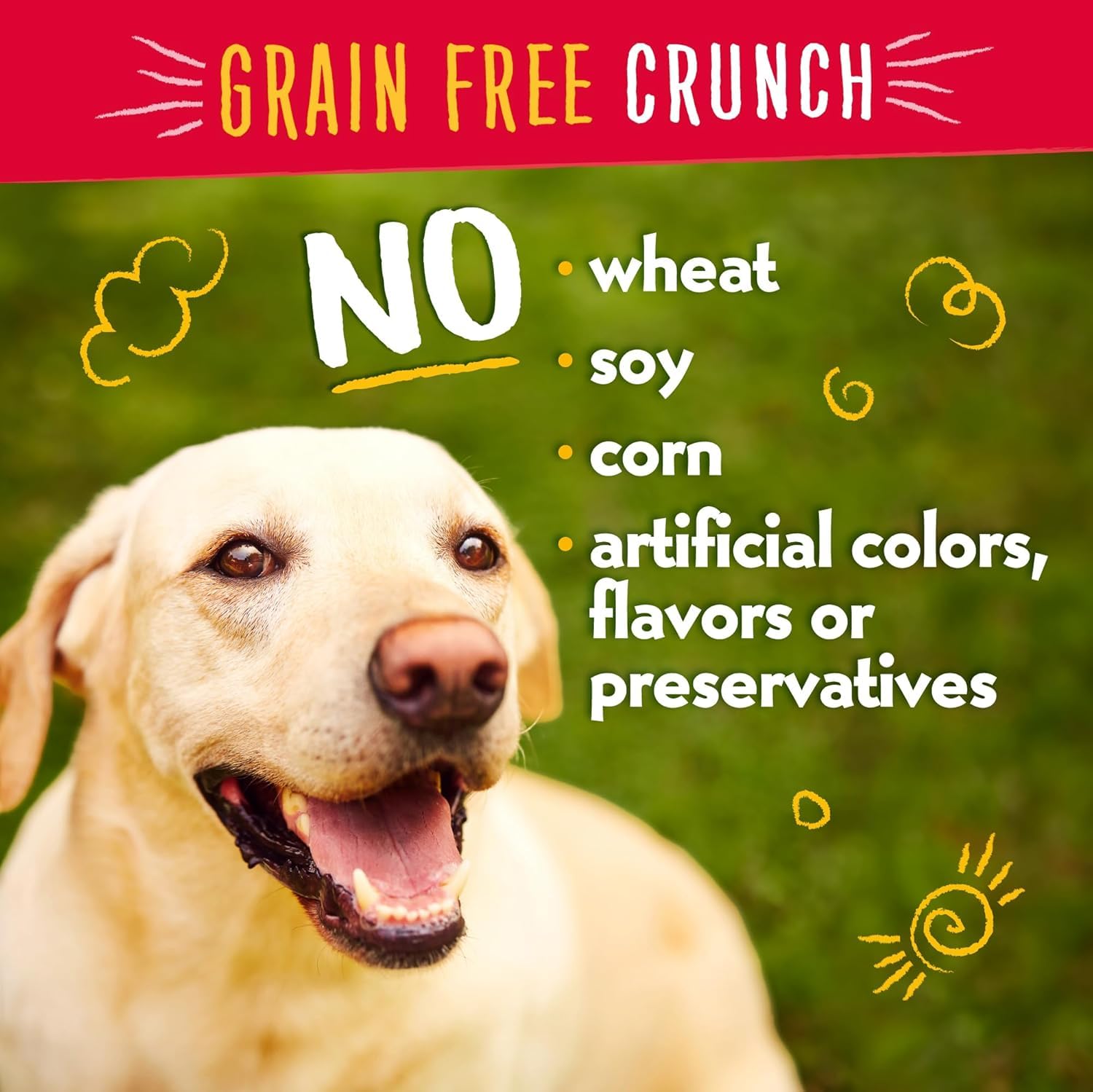 Charlee Bear Natural Dog Training Treats - Grain Free, Low Calorie Crunchy Snacks for Small, Medium & Large Dogs - Made in USA with Chicken, Pumpkin & Apple - 2 Pack (8oz Each) - Perfect for Obedience Training & Positive Reinforcement