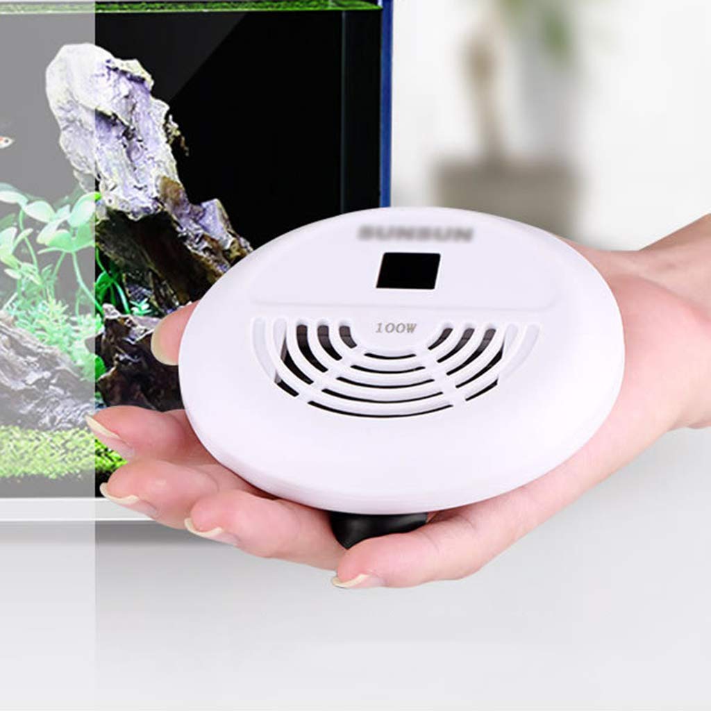 KKYG Mini Aquarium Heater with Digital LED Display & External Thermostat - PTC Explosion Proof Betta Fish Tank Heater for Freshwater & Saltwater - Perfect for Small Fish Tanks, Shrimp Tanks and Nano Aquariums
