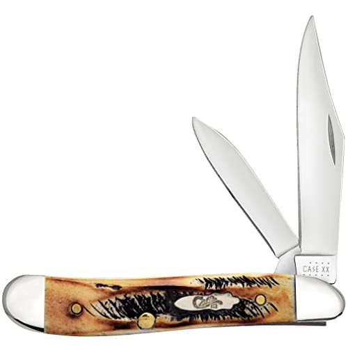 6.5 Bonestag