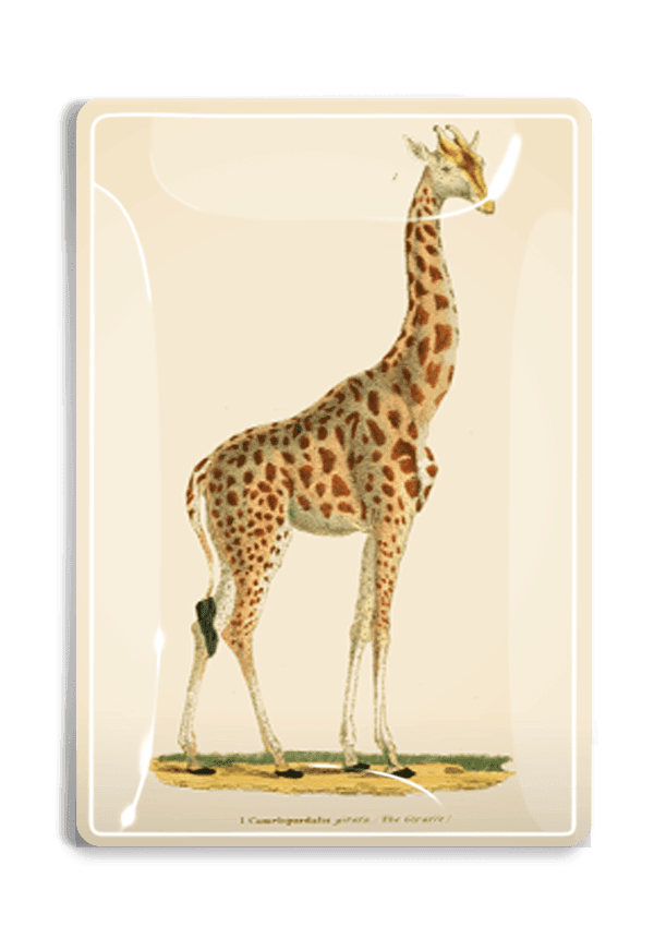Giraffe Geoffrey Decoupage Glass Tray - Elegant Serving Tray for Tea, Coffee & Desserts - Perfect for Home Decor & Gift Giving