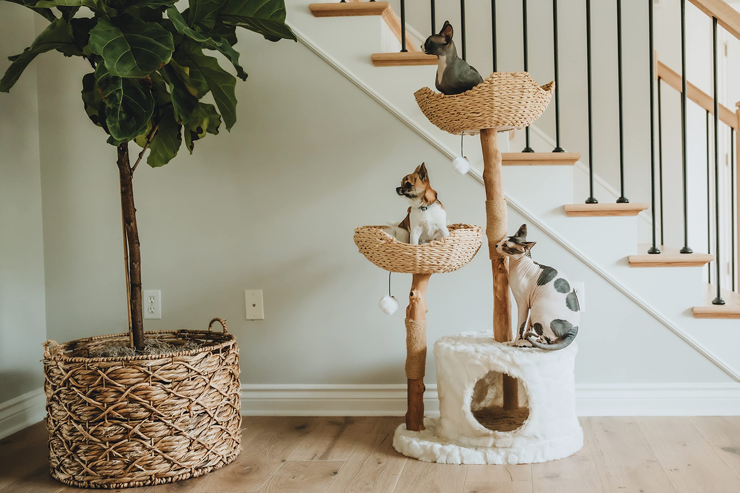 MAU Modern Cat Tree Tower for Large Cats - Real Wood Branch Luxury Cat Condo with Scratching Posts, Durable Cat Furniture for Indoor Cats | Perfect Cat Lover Gift & Playground for Kittens - Ideal for Home, Office, or Apartment Use