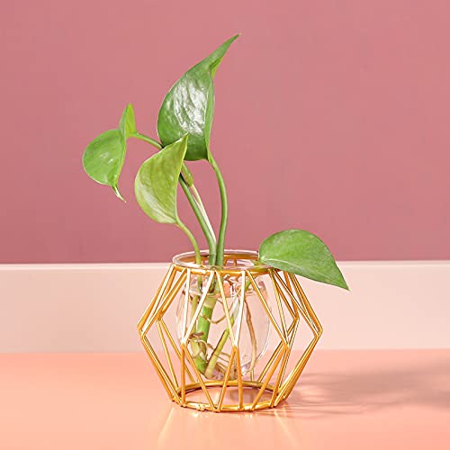 VALINK Modern Glass Vase Planter with Metal Base - Contemporary Floral Container for Home & Office Decor - Perfect for Centerpieces, Wedding Decor, and Living Room Accents