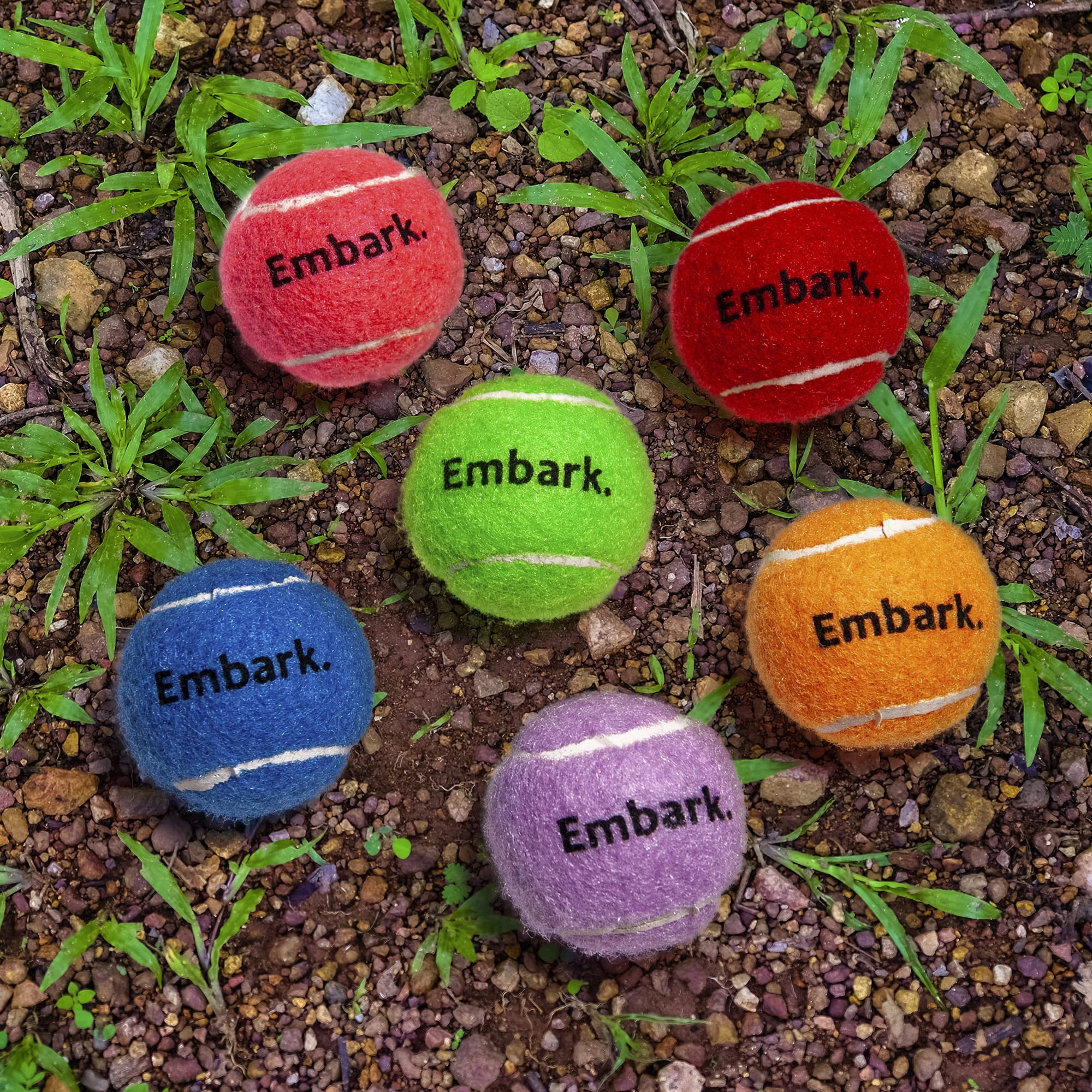 Colorful Squeaky Tennis Balls for Small Dogs - 12 Pack - Perfect for Outdoor Fetch & Training