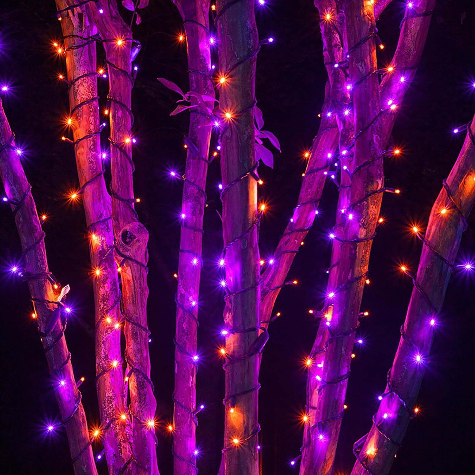 200 LED Solar Halloween String Lights - 72ft Orange & Purple Waterproof Outdoor Lights with 8 Modes for Halloween Party, Yard, Garden, Patio Decor | Perfect for Spooky Nighttime Atmosphere & Holiday Festivities