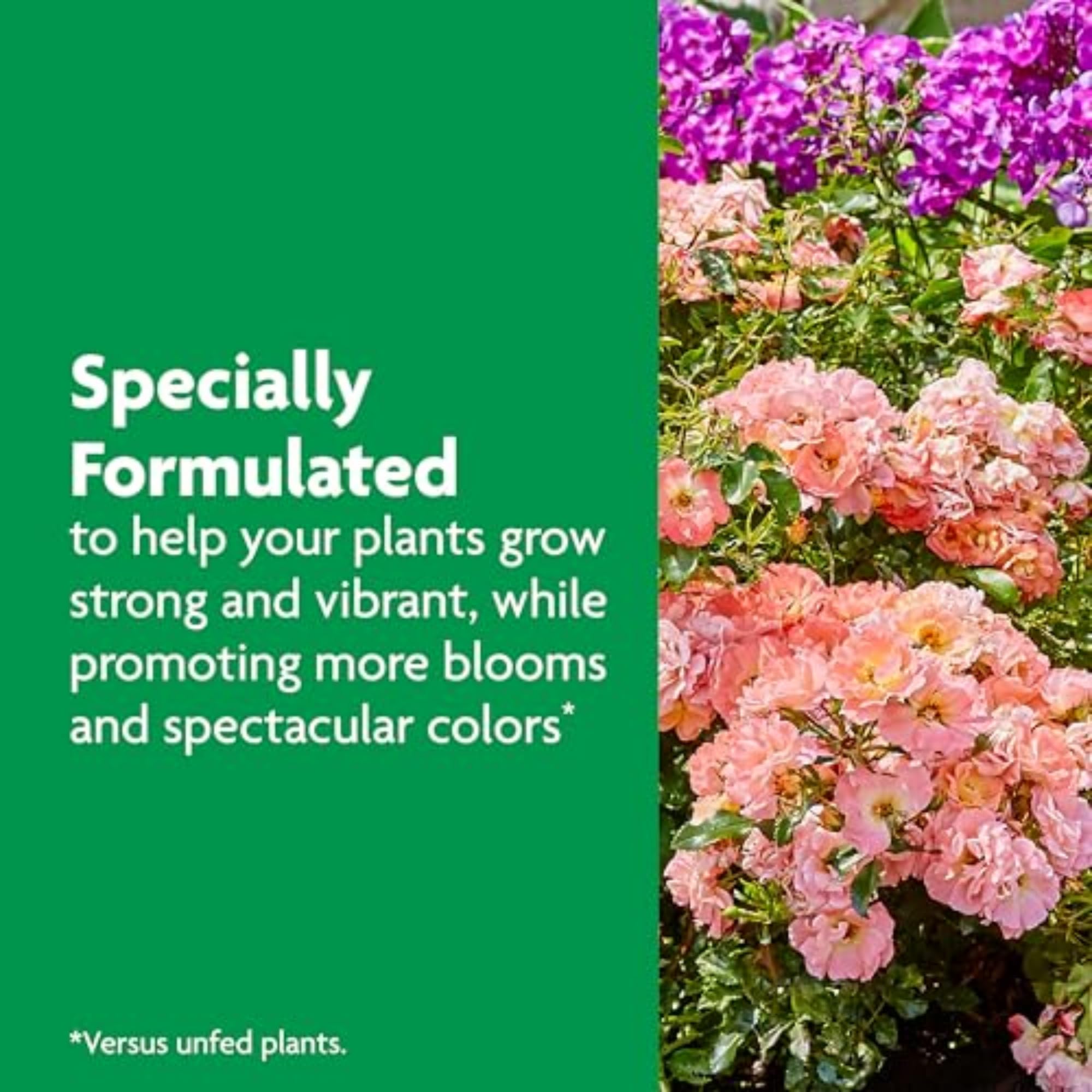 Miracle-Gro Shake 'N Feed Rose & Bloom Plant Food - All Purpose Flower Fertilizer for Roses, Flowers & Shrubs - Perfect for Garden Beds, Potted Plants & Outdoor Landscaping