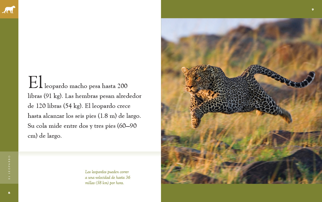 El Leopardo 9781640266766 - Wild Animal Book for Kids, Spanish Learning & Wildlife Education - Perfect for Classroom, Homeschooling & Nature Enthusiasts