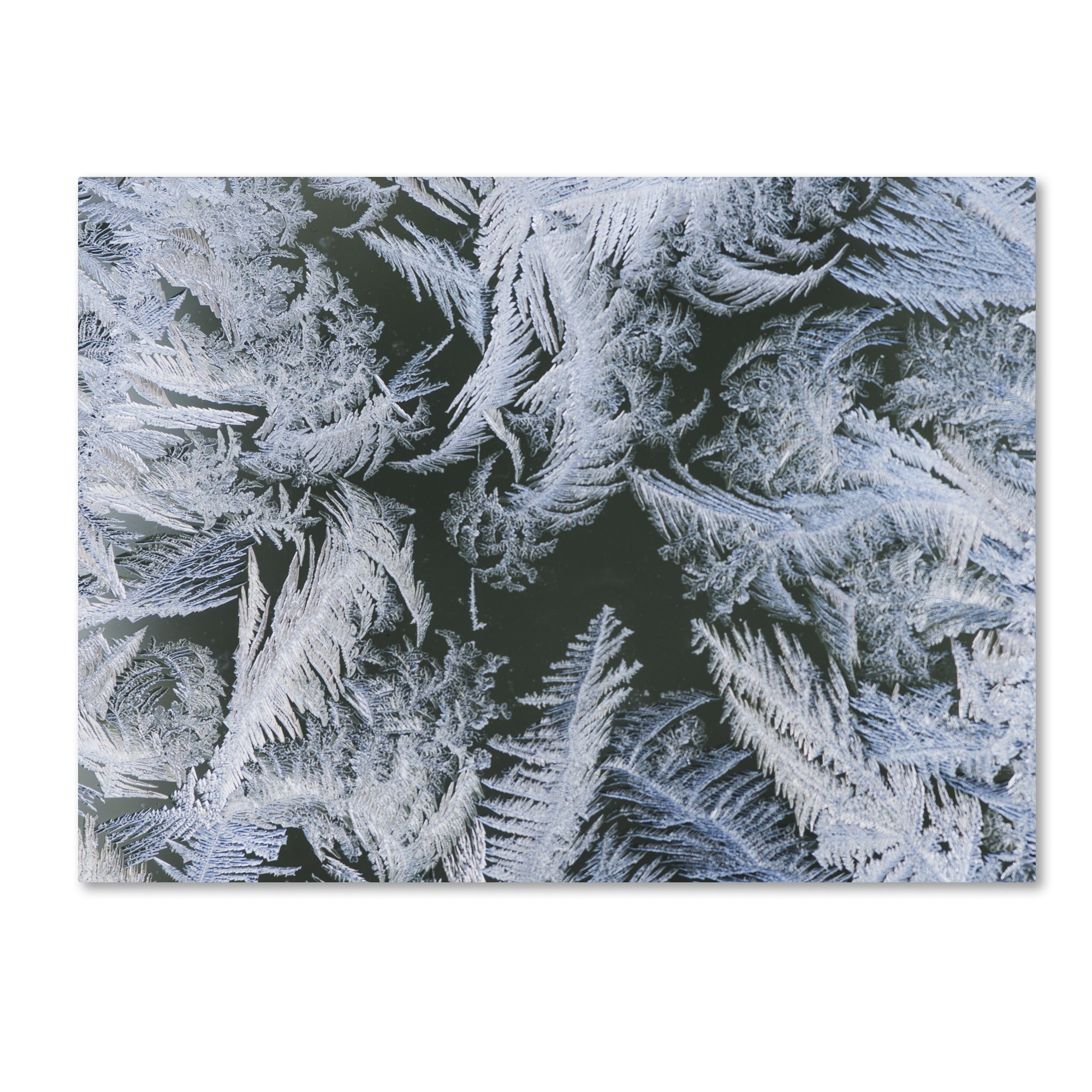 Kurt Shaffer Frost at Zero Degrees Framed Wall Art Print - 35x47 Inches - Winter Landscape Painting for Living Room, Bedroom & Office Decor