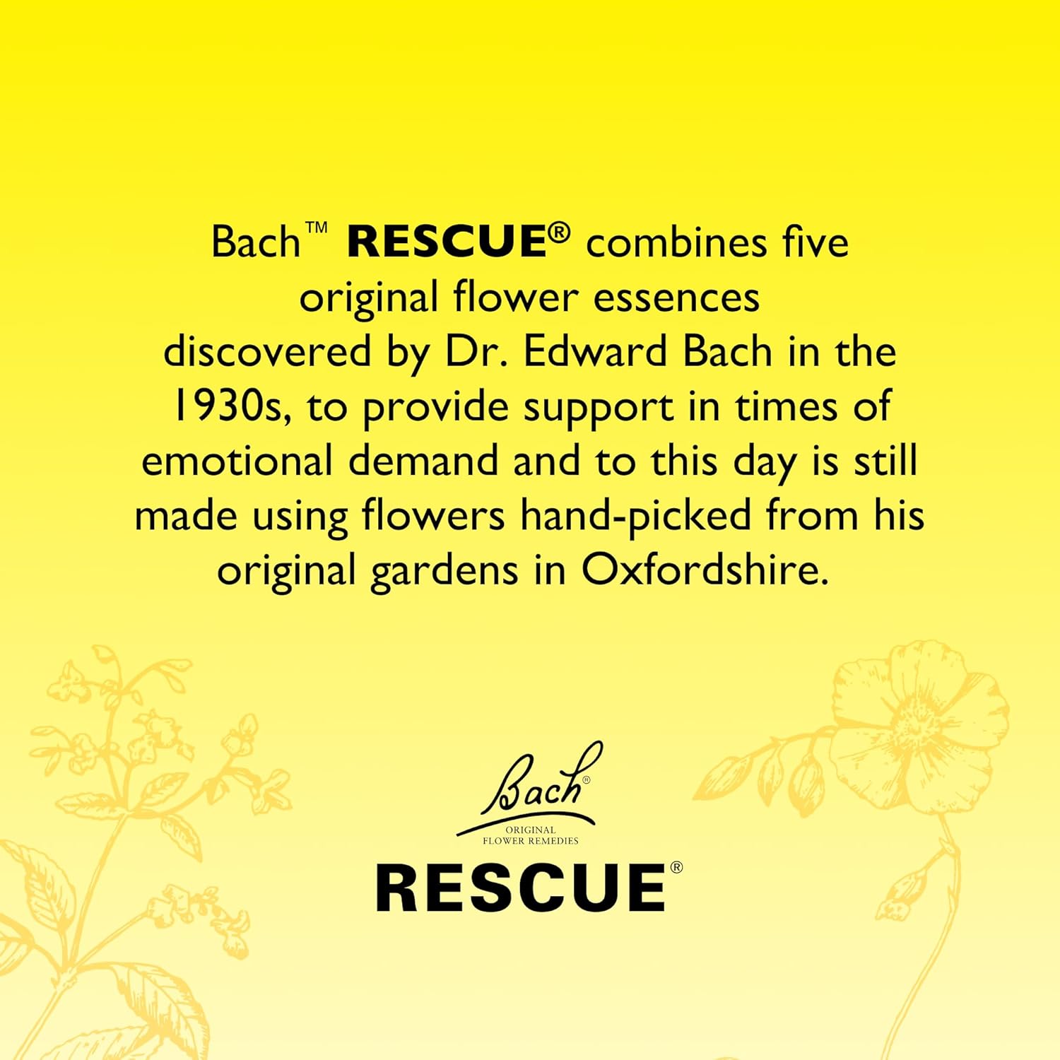 Bach Rescue Remedy Natural Stress Relief Drops - 10ml Herbal Flower Essence for Anxiety & Emotional Balance - Perfect for Travel, Work & Daily Stress Management