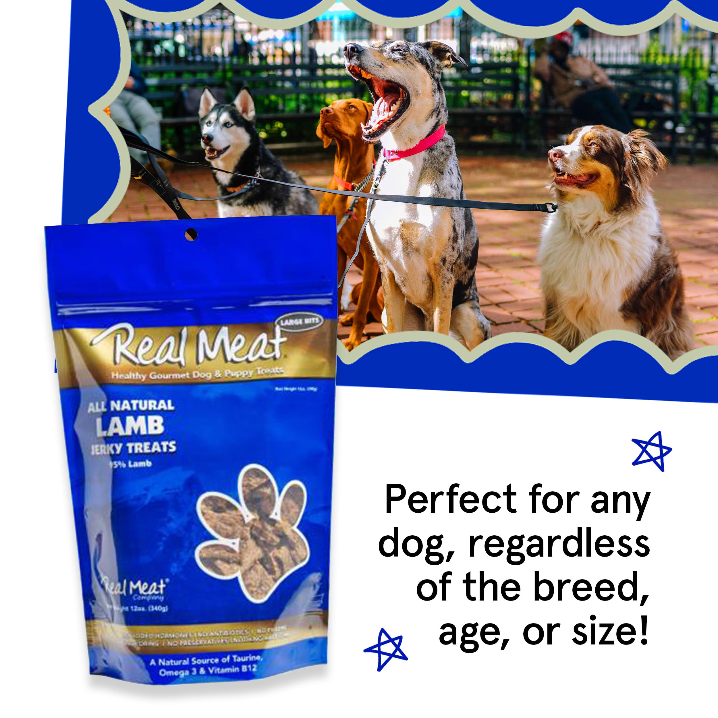 Premium Air-Dried Lamb Jerky Dog Treats - 12oz Grain-Free, High Protein Snacks Made with 95% Human-Grade Grass-Fed Free-Range Lamb - All Natural Bite-Sized Training Rewards for Small & Large Dogs - Perfect for Training, Travel & Outdoor Adventures