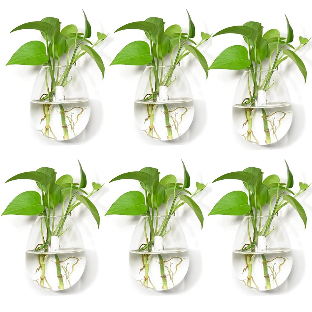 6-Piece Glass Wall Planters Set - Hanging Indoor Terrariums & Air Plant Holders - Oval Wall Mounted Glass Vases for Succulents, Flowers & Home Decor - Perfect for Living Room, Office & Balcony Decorations