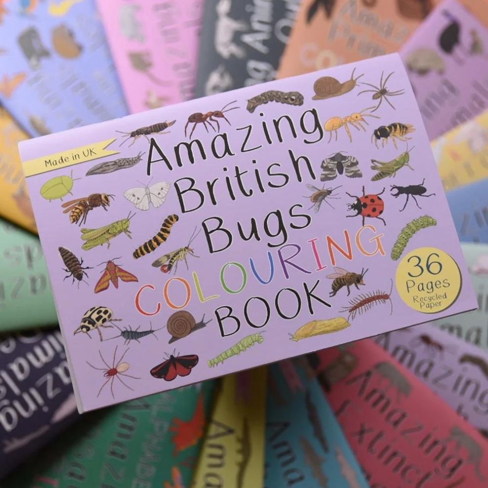 British Bugs Coloring Book for Kids - Fun & Educational Insect Activity Book for Children | Perfect for Home, School & Travel