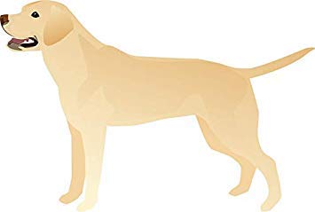 Yellow Lab Breed Silhouette Car Magnet - 5