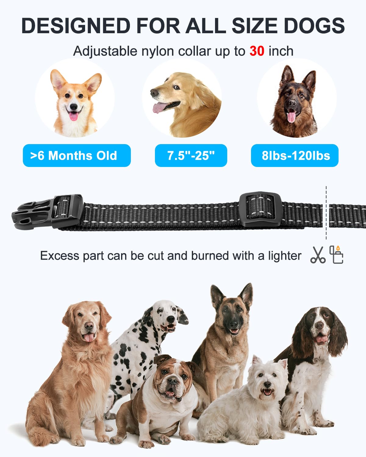 No Shock Dog Training Collar with Remote - Beep & Vibration Only, Waterproof Rechargeable Vibrating Collar for Small to Large Dogs (10-120 lbs) - Safe & Humane Training Tool for Obedience, Bark Control & Behavior Correction - Navy Blue