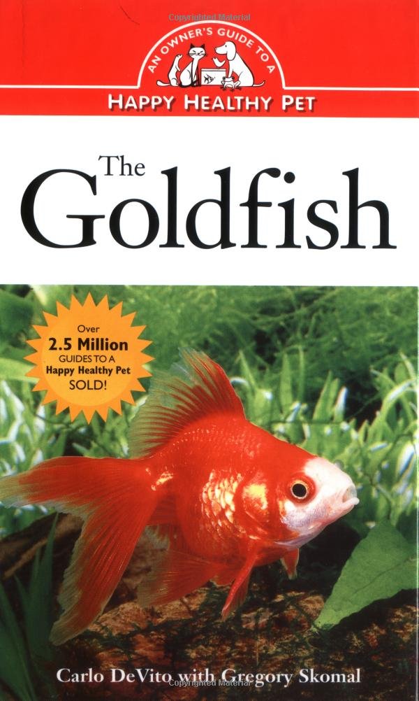 The Goldfish Care Guide: Tips for a Happy, Healthy Pet Fish | Aquarium & Pond Essentials