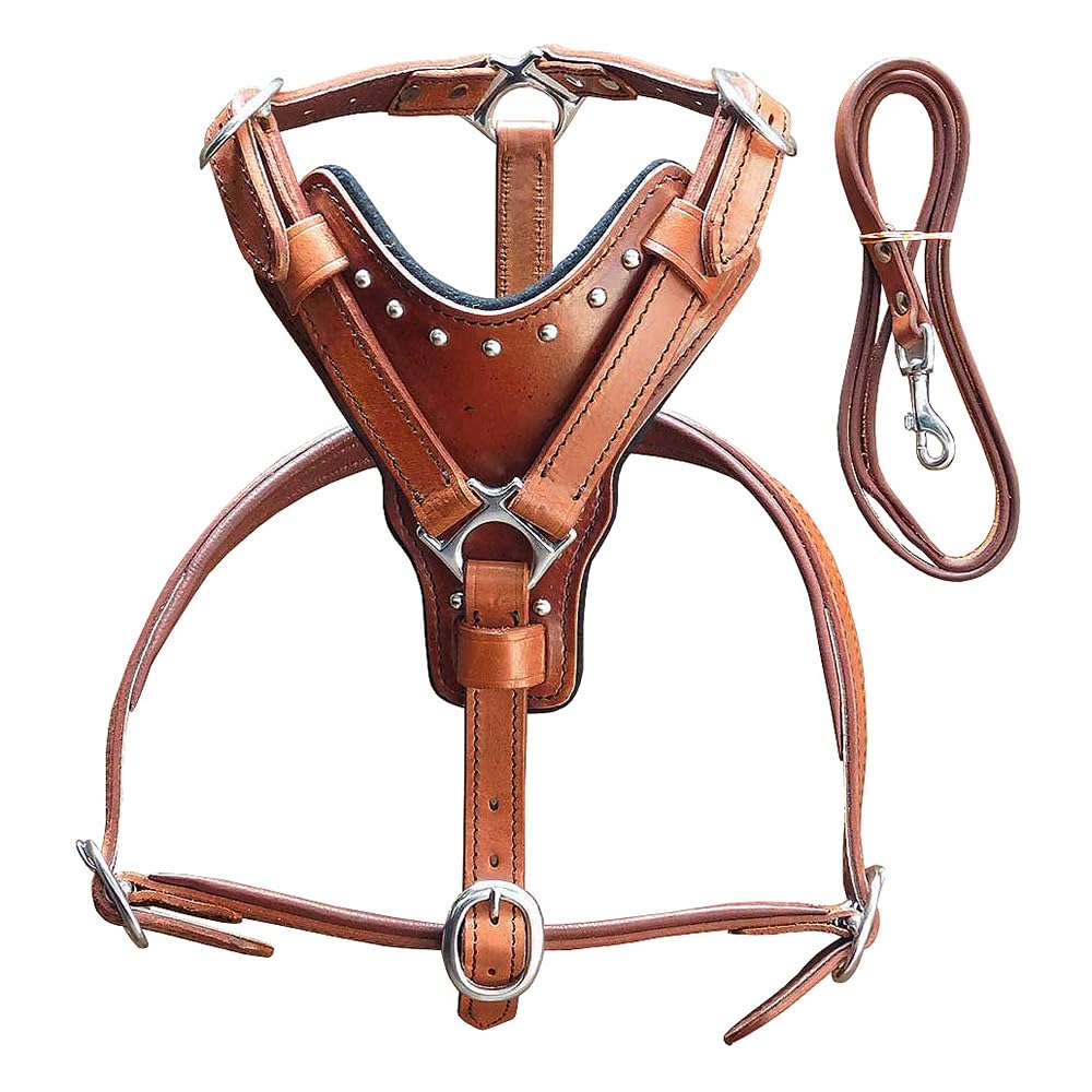 HILASON Genuine Leather Dog Harness and Leash Set - Adjustable Mahogany Small Size for Small Dogs | Comfortable & Durable Pet Walking Gear | Perfect for Daily Walks, Training & Outdoor Adventures