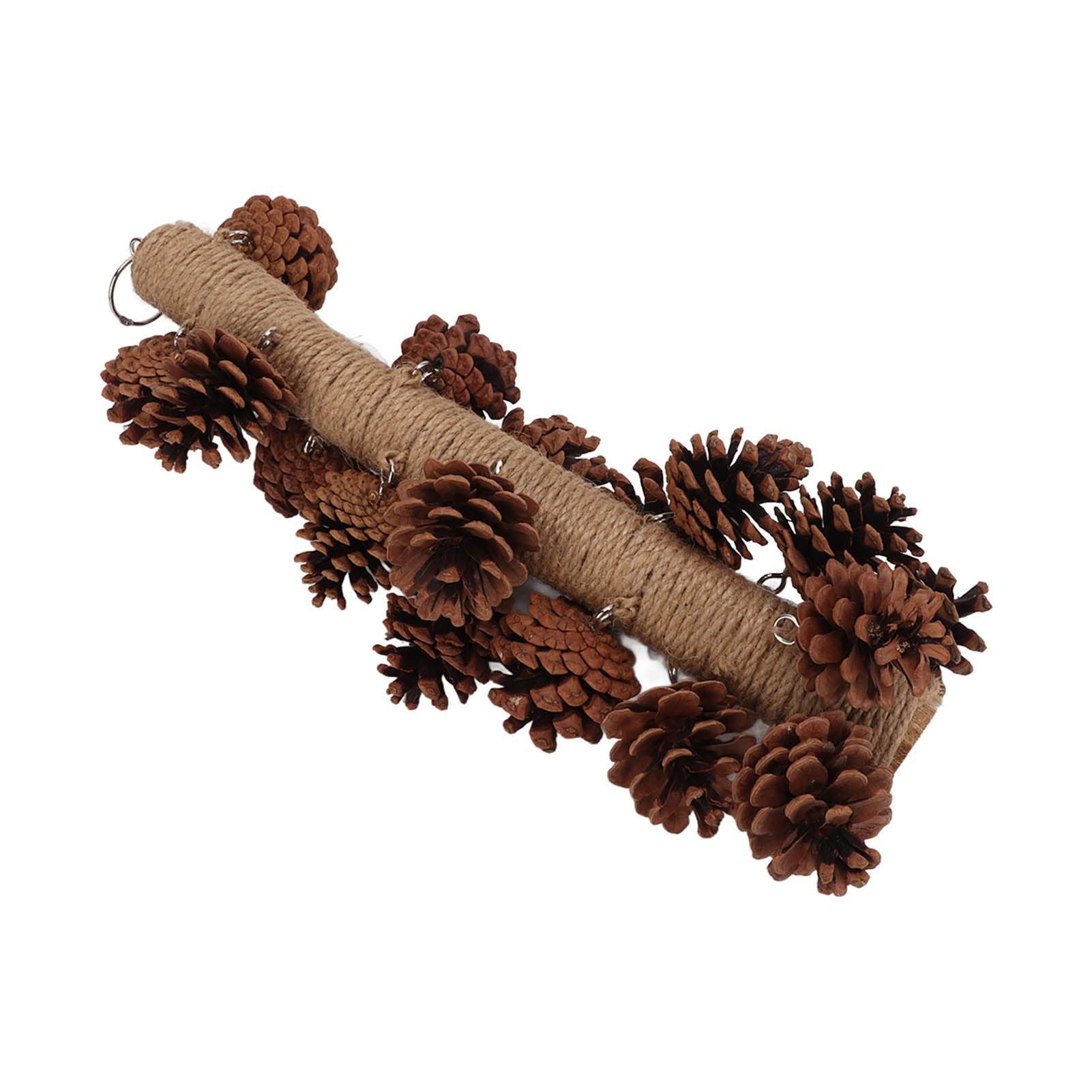 Tnfeeon Natural Wooden Pine Cone Chewing Toy for Parrots - Hanging Bird Cage Beak Grinding & Molar Toy - Perfect for Parrot Enrichment and Beak Maintenance