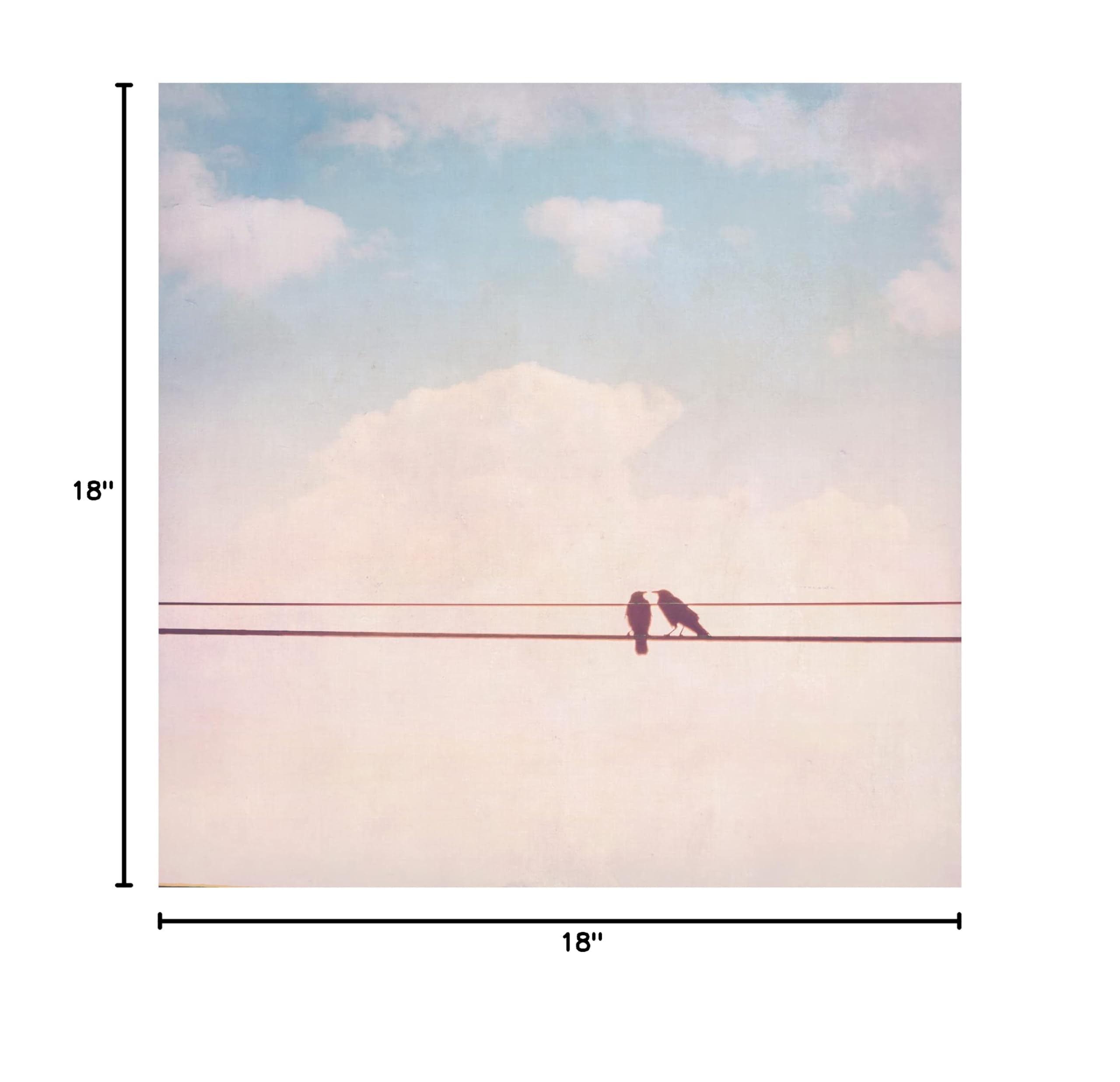 Trademark Fine Art 'Birds on Wires II' Canvas Wall Art by Thomas Brown - Stunning Home & Office Decor for Living Room, Bedroom or Gallery Display