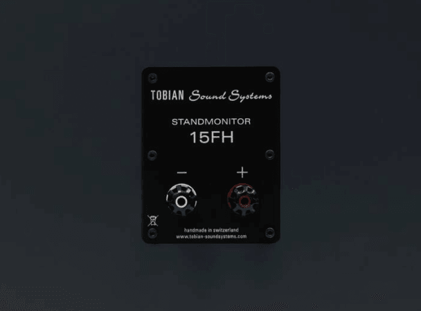 Tobian Sound Systems 15FH Full Range Horn Speaker - High Power PA Loudspeaker for Outdoor Events, Concerts & DJ Performances