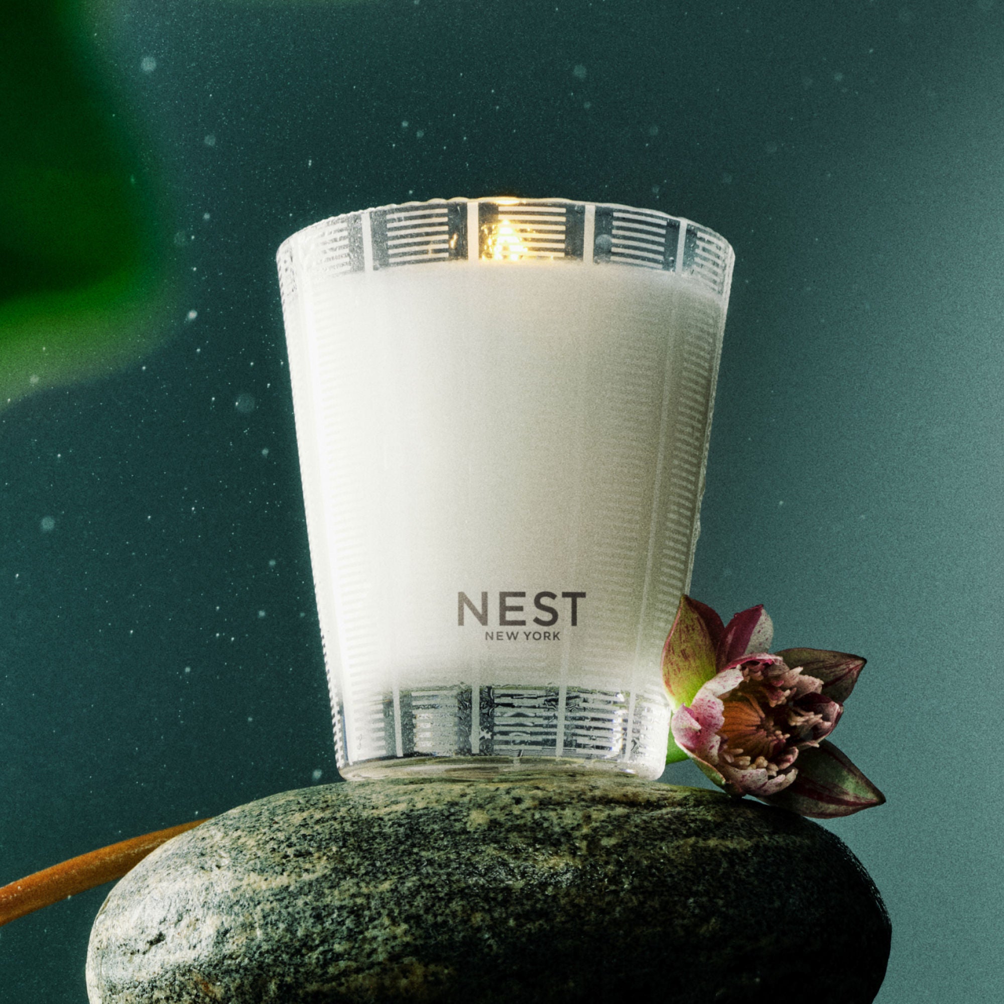 Forest Rain Scented Candle - Natural Soy Wax Aromatherapy Candle for Relaxation & Stress Relief - Perfect for Home, Spa, Yoga & Meditation