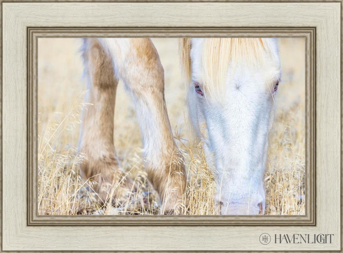 Dry Grass by Greg Sargent - Premium Handcrafted Home Decor for Rustic & Farmhouse Style - Perfect for Wall Art, Shelf Displays & Cozy Living Room Decor