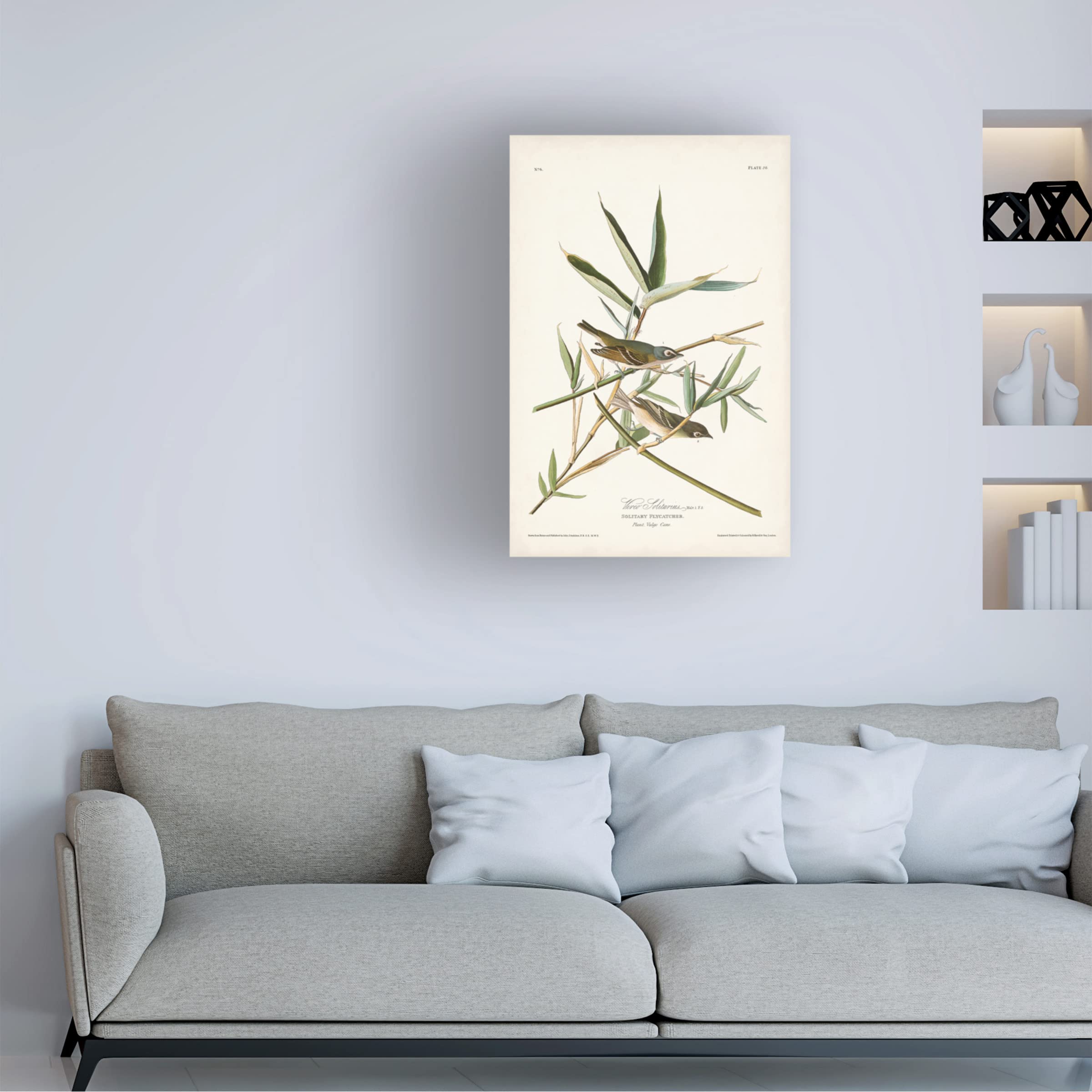 John James Audubon 'Vireo Solitarius' Canvas Wall Art Print - 12x19 Inches - Premium Wildlife Bird Painting for Home & Office Decor