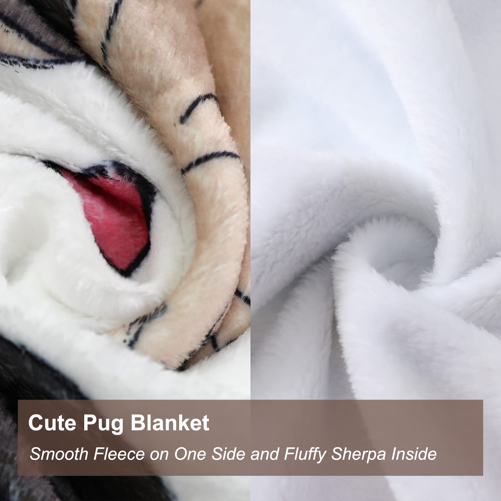 Super Soft Pug Blanket for Adults - Cute Puppy Plush Throw Blanket, 47