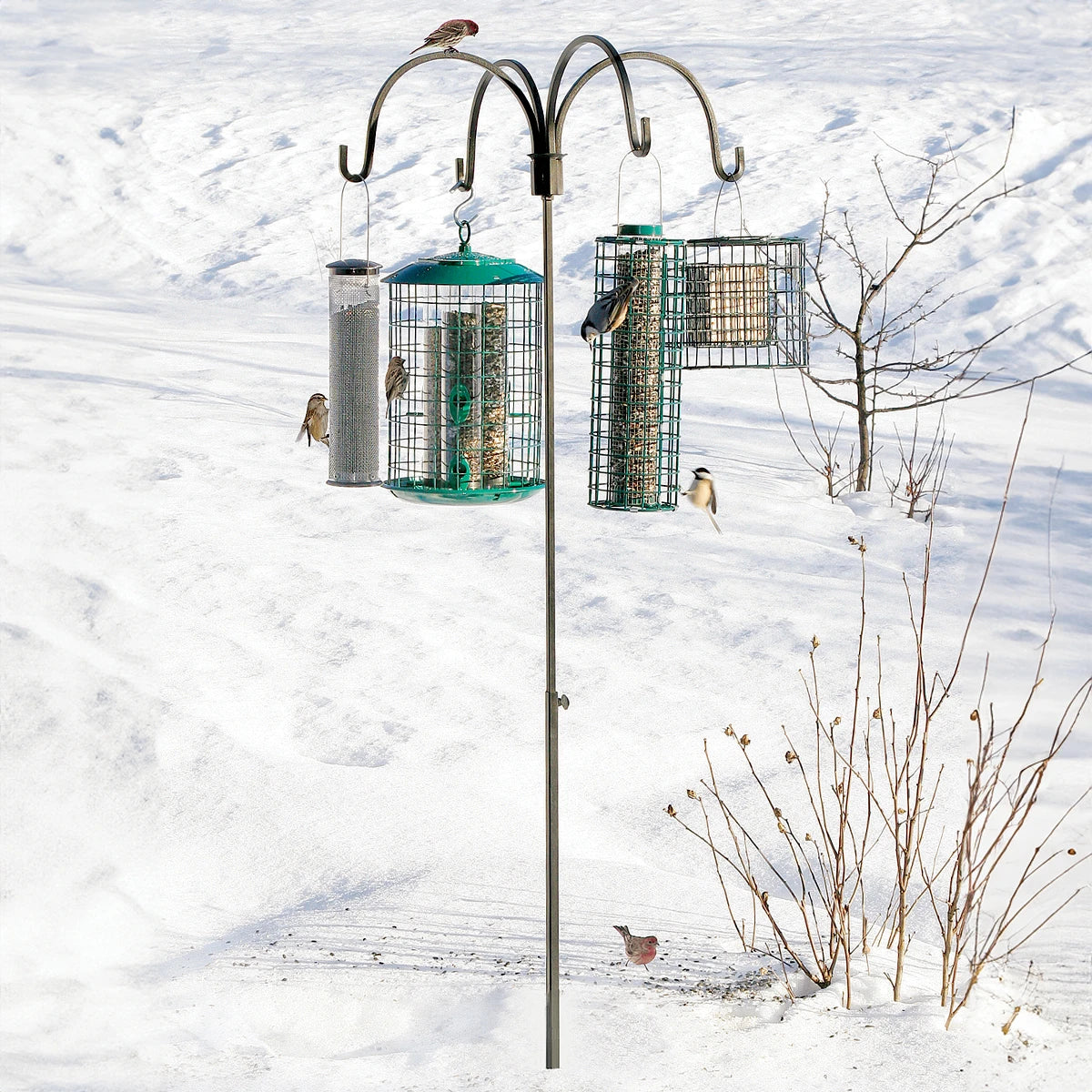 Adjustable Heavy Duty Quad Bird Feeder Hanger - 4 Hook Outdoor Bird Feeder Stand for Garden, Yard & Patio - Perfect for Attracting Wild Birds & Bird Watching