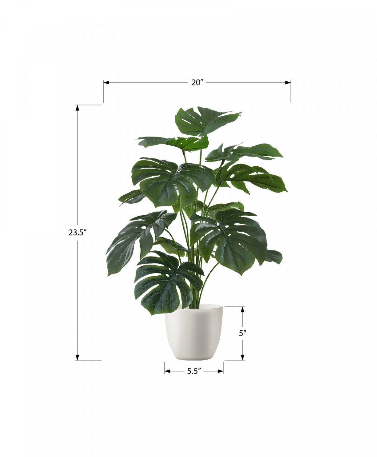 24 Inch Monstera Deliciosa Swiss Cheese Plant with 5 Black Nursery Pots - Indoor Tropical Houseplant for Home Office Decor, Living Room & Bedroom Greenery