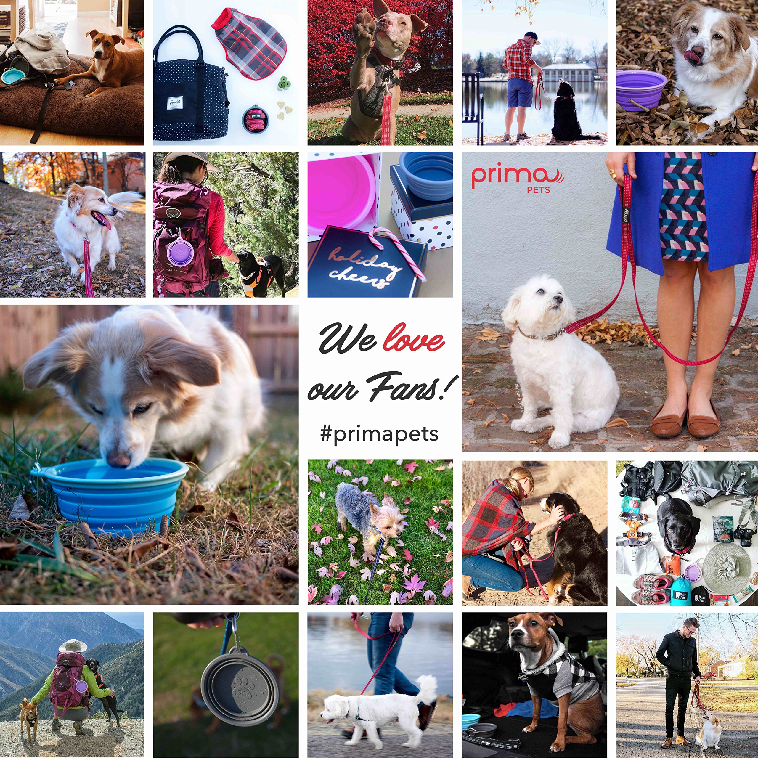 Foldable Travel Dog & Cat Bowl - Collapsible Silicone Food & Water Dish with Clip for Pets, Portable Small (1.5 Cups) - Perfect for Hiking, Camping & Road Trips
