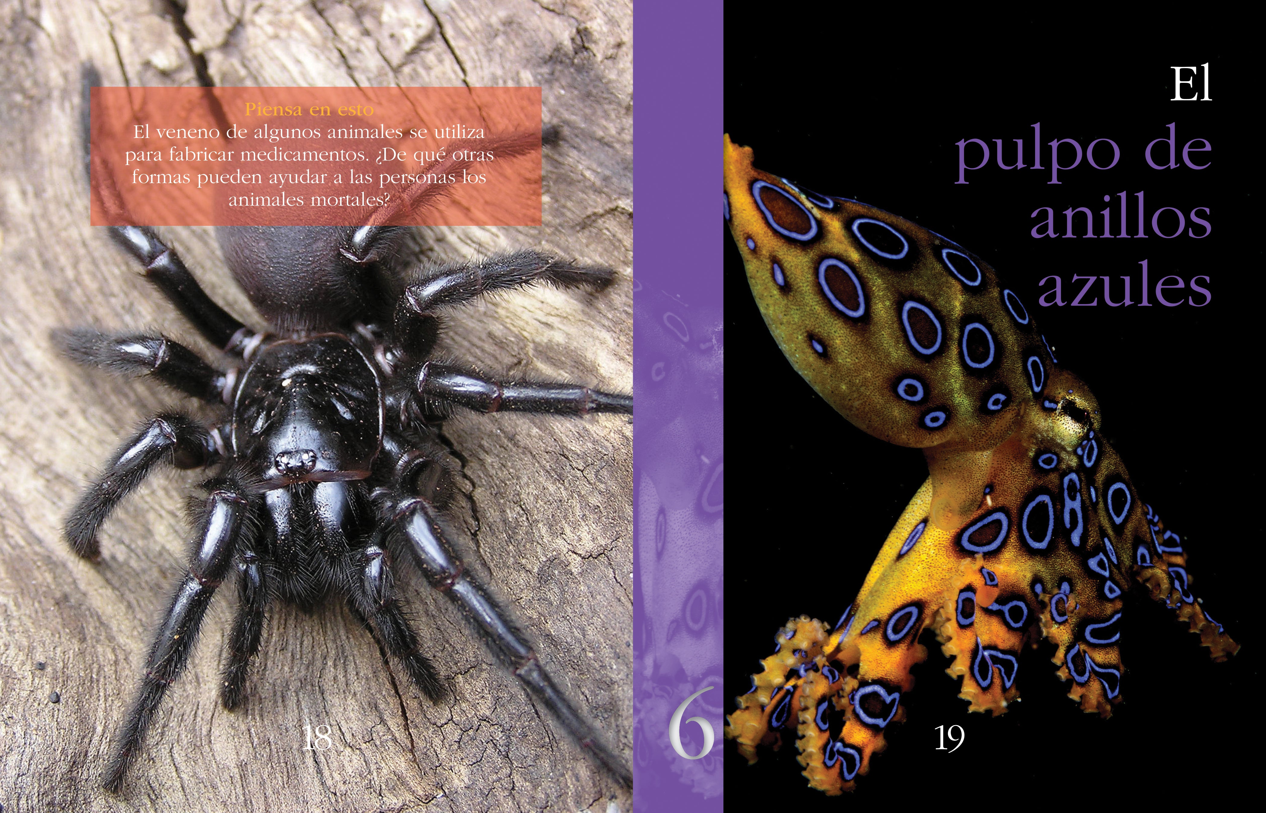 Deadly Animals Encyclopedia - Top 10 Most Dangerous Creatures in the World | Wildlife Education Book for Kids & Adults | Perfect for School Projects, Nature Studies & Animal Lovers