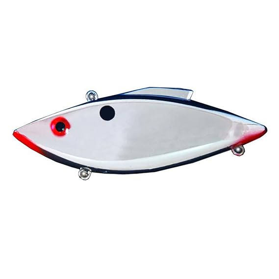 American Shad