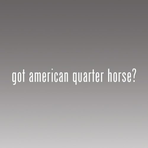 American Quarter Horse Die Cut Vinyl Decal - Premium Bumper Sticker for Cars, Trucks, Windows, Laptops - Perfect for Outdoor, Travel, and Personalizing Vehicles