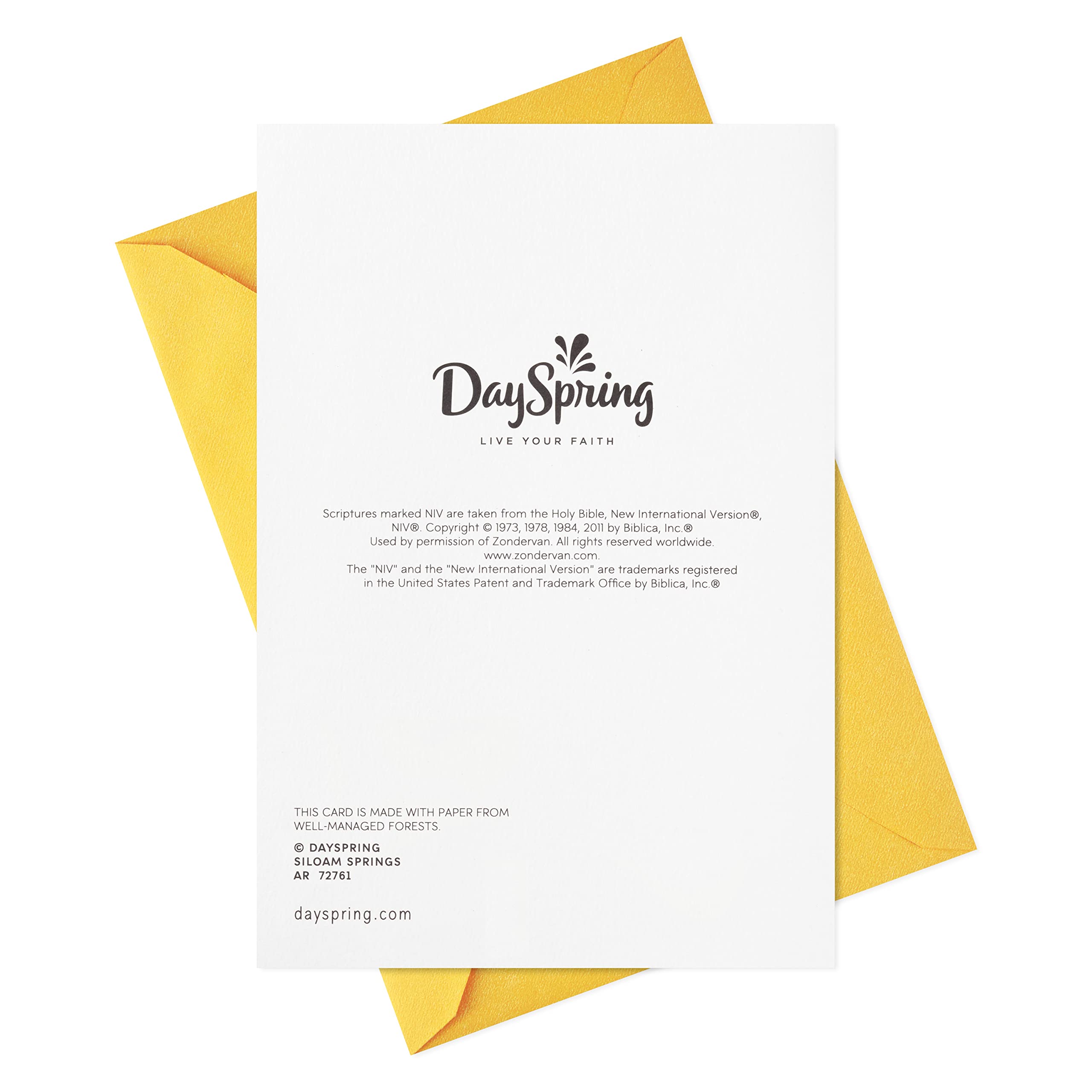 Religious Easter Cards by DaySpring - Pack of 8 Inspirational Blessing Cards with Envelopes for Christian Holiday Greetings, Church Events & Family Celebrations