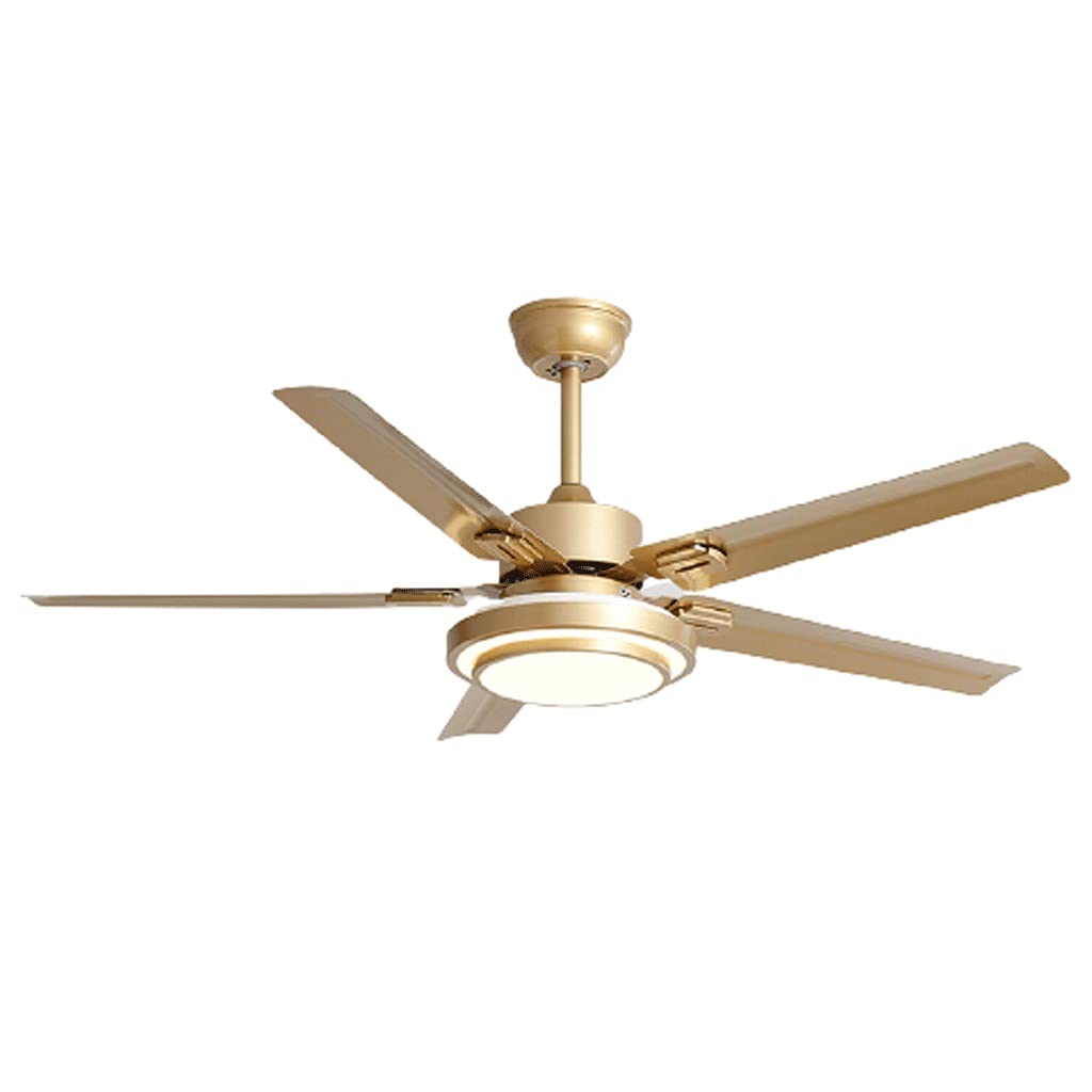 48 Inch Modern Ceiling Fan with Lights and Remote Control - 5 Reversible Blades, Gold Finish - Perfect for Bedroom, Living Room & Indoor Spaces - Energy Efficient Cooling & Stylish Lighting Solution
